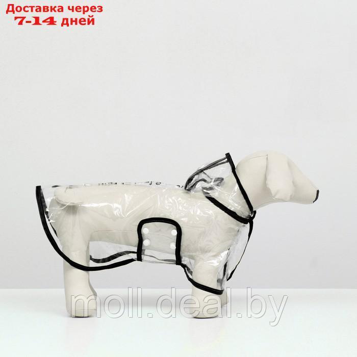Дождевик для собак, размер M (ДС 26, ОГ 38-41, ОШ 40 см), чёрный - фото 4 - id-p218388553