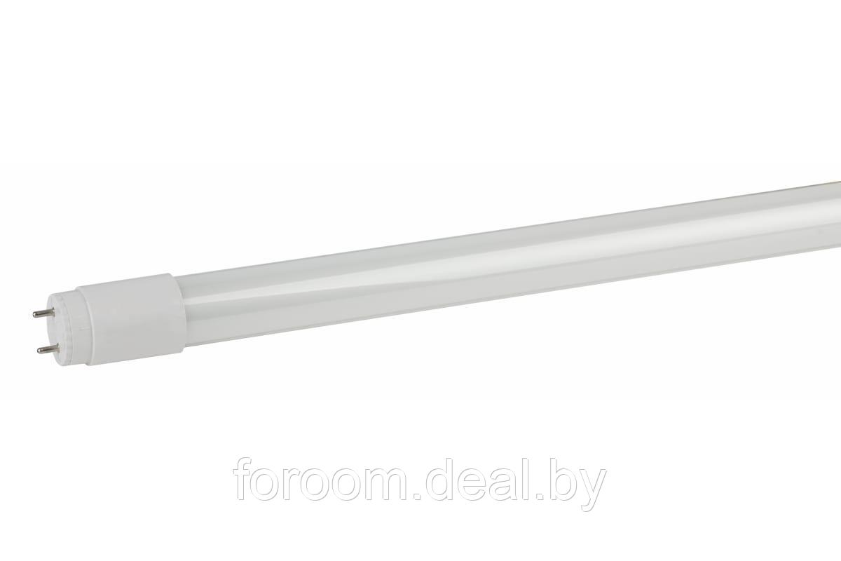 Лампа светодиодная Стандарт LED T8-24W-865-G13-1500мм (диод,трубка стекл,24Вт,хол,пов.G13) ЭРА