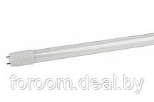 Лампа светодиодная Стандарт LED T8-24W-865-G13-1500мм (диод,трубка стекл,24Вт,хол,пов.G13) ЭРА
