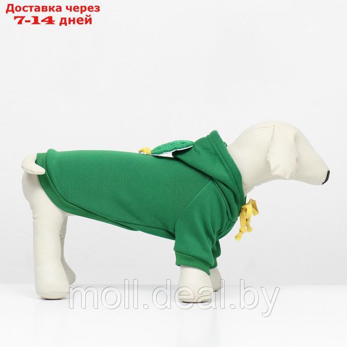 Костюм для животных "Ёлка", размер XL, зелёный - фото 4 - id-p218397237