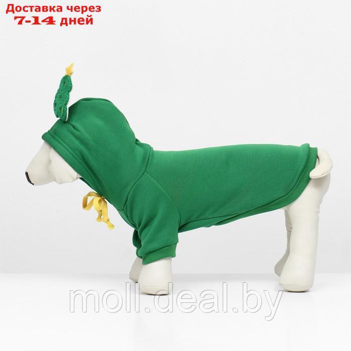 Костюм для животных "Ёлка", размер XL, зелёный - фото 5 - id-p218397237