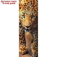 Фотообои "Леопард", 0,9х2,7 м