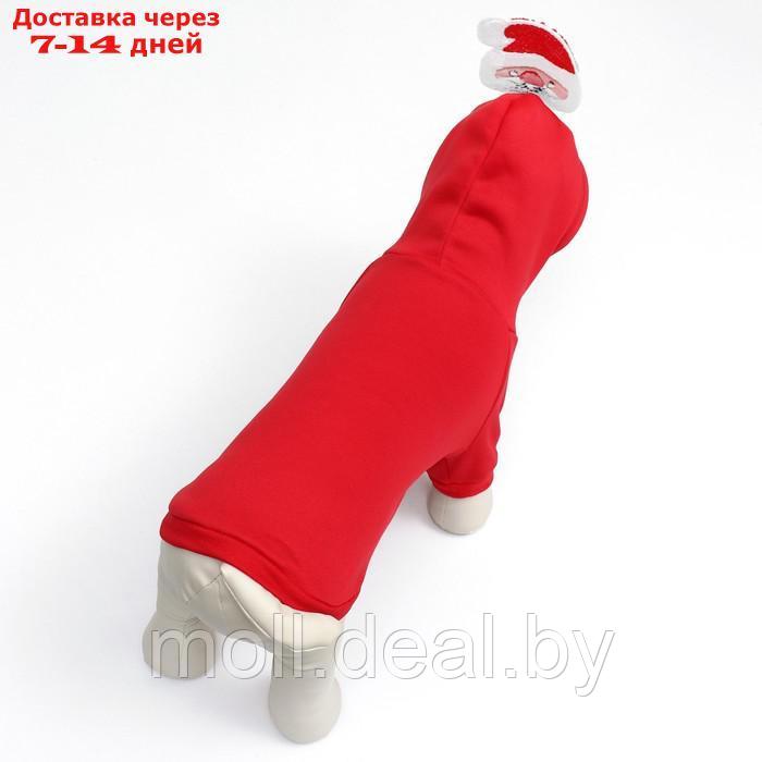Костюм для животных "Дед Мороз", размер XS, краный - фото 6 - id-p218397246