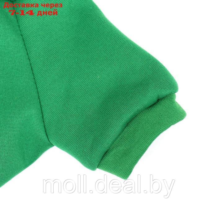 Костюм для животных "Ёлка", размер M, зелёный - фото 2 - id-p218397247