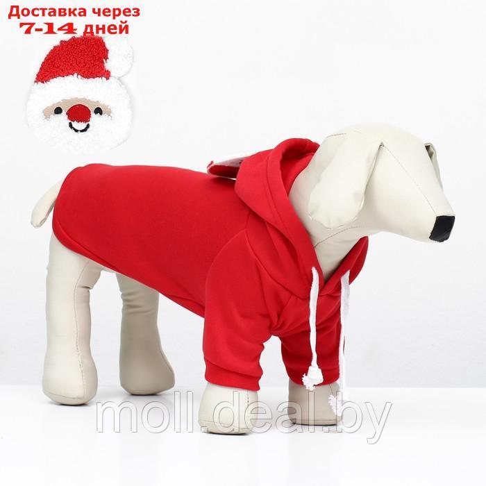 Костюм для животных "Дед Мороз", размер S, краный - фото 1 - id-p218397256
