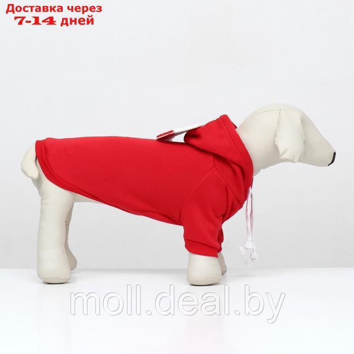 Костюм для животных "Дед Мороз", размер XL, краный - фото 4 - id-p218397263