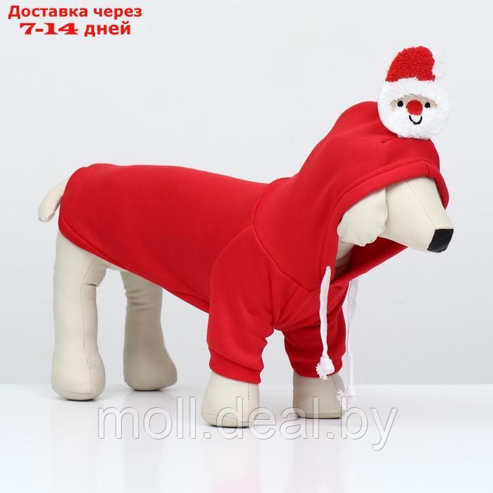 Костюм для животных "Дед Мороз", размер L, краный - фото 2 - id-p218397274