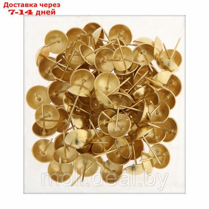 Гвозди декоративные, 25х39 мм, цвет золото, в упаковке 100 шт - фото 5 - id-p218394321