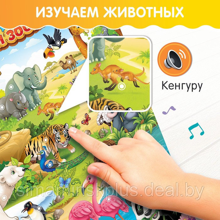 Говорящий электронный плакат «Весёлый зоопарк», звуковые эффекты - фото 4 - id-p218432488