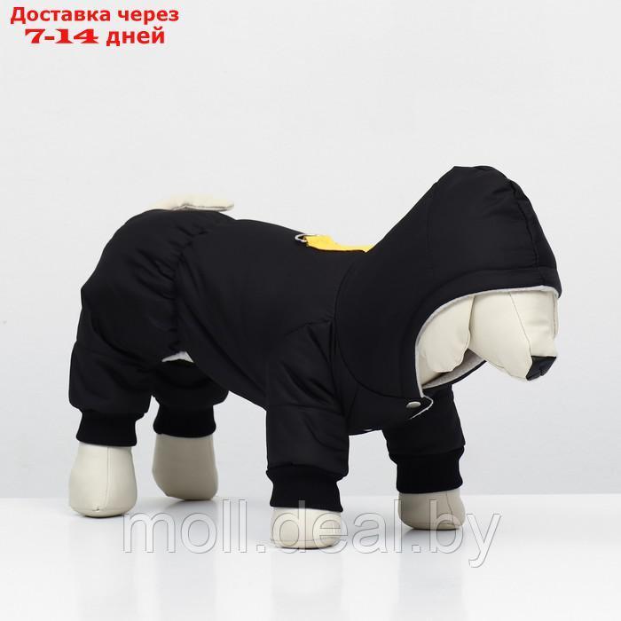 Комбинезон для животных, зимний на флисе, размер XL, чёрный - фото 4 - id-p218394447