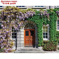 Фотосетка, 250 × 200 см, с фотопечатью, люверсы шаг 1 м, "Фасад в цветах"