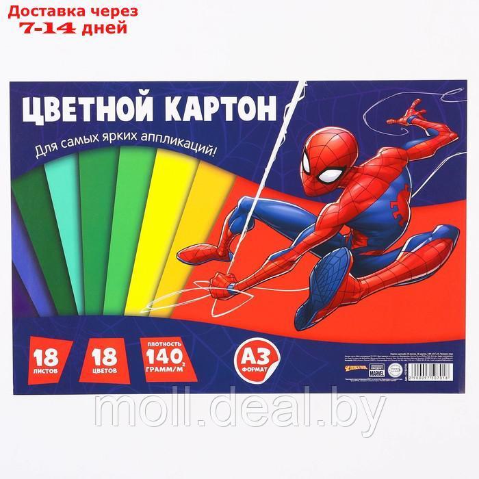 Картон цветной, 18 листов, 18 цветов, 140 грамм/м2, А3, Человек-паук - фото 6 - id-p218392438