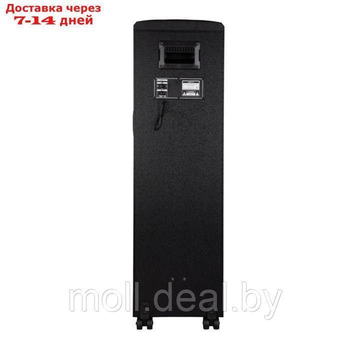 Портативная караоке система Denn DPS-566, 120 Вт, AUX, USB, BT, SD, чёрная - фото 3 - id-p218394495