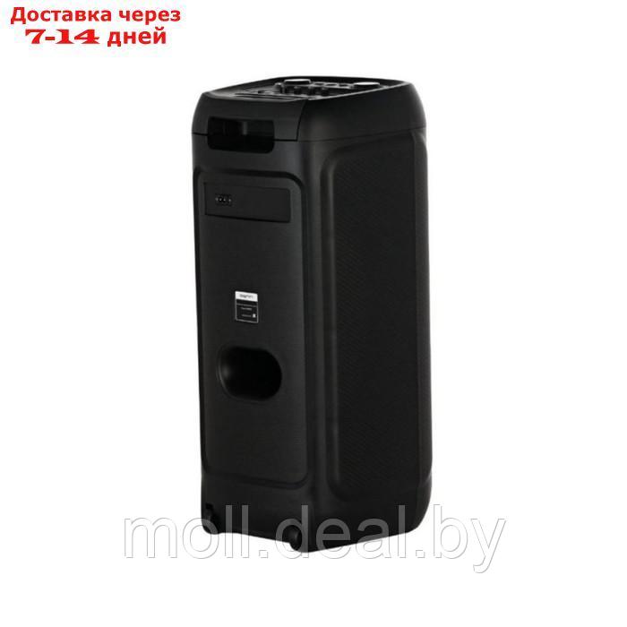 Портативная караоке система Denn INSPIRE DPS-555, 120 Вт, AUX, USB, BT, SD, чёрная - фото 5 - id-p218394511