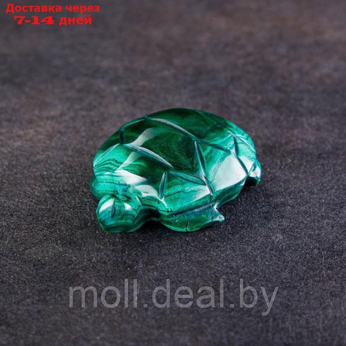 Сувенир "Черепаха", натуральный малахит - фото 1 - id-p218391580
