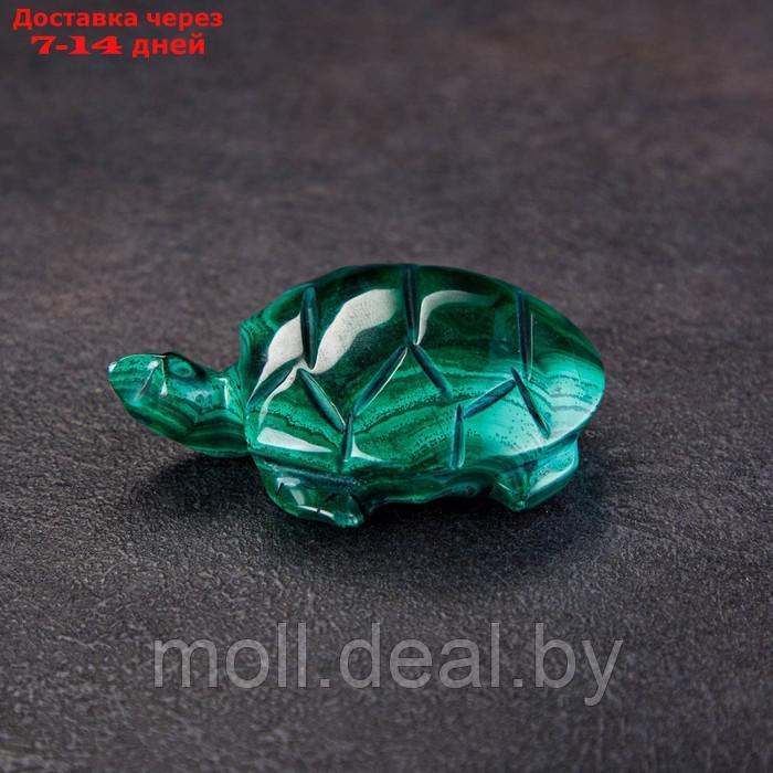 Сувенир "Черепаха", натуральный малахит - фото 2 - id-p218391580