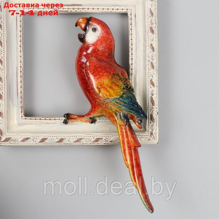 Сувенир полистоун лак "Два попугая Ара сидят на картине" 18х5х26,8 см - фото 2 - id-p218393834
