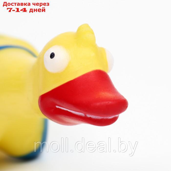 Игрушка пищащая "Пляжная утка XL" для собак, 41 см, жёлтая - фото 4 - id-p218391752