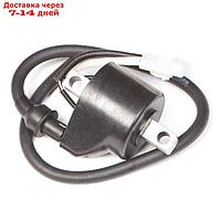 Катушка зажигания Arctic Cat, OEM 3007-548, 4012168, 4012169, SM-01176