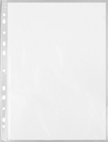 Файл А4 перфорированный «Бюрократ Премиум» (текстурированный) 40 мкм, текстурированный, 216*303 мм (до 60 л.) - фото 2 - id-p218444778