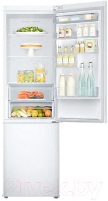 Холодильник с морозильником Samsung RB37A5200WW/WT - фото 10 - id-p218460315