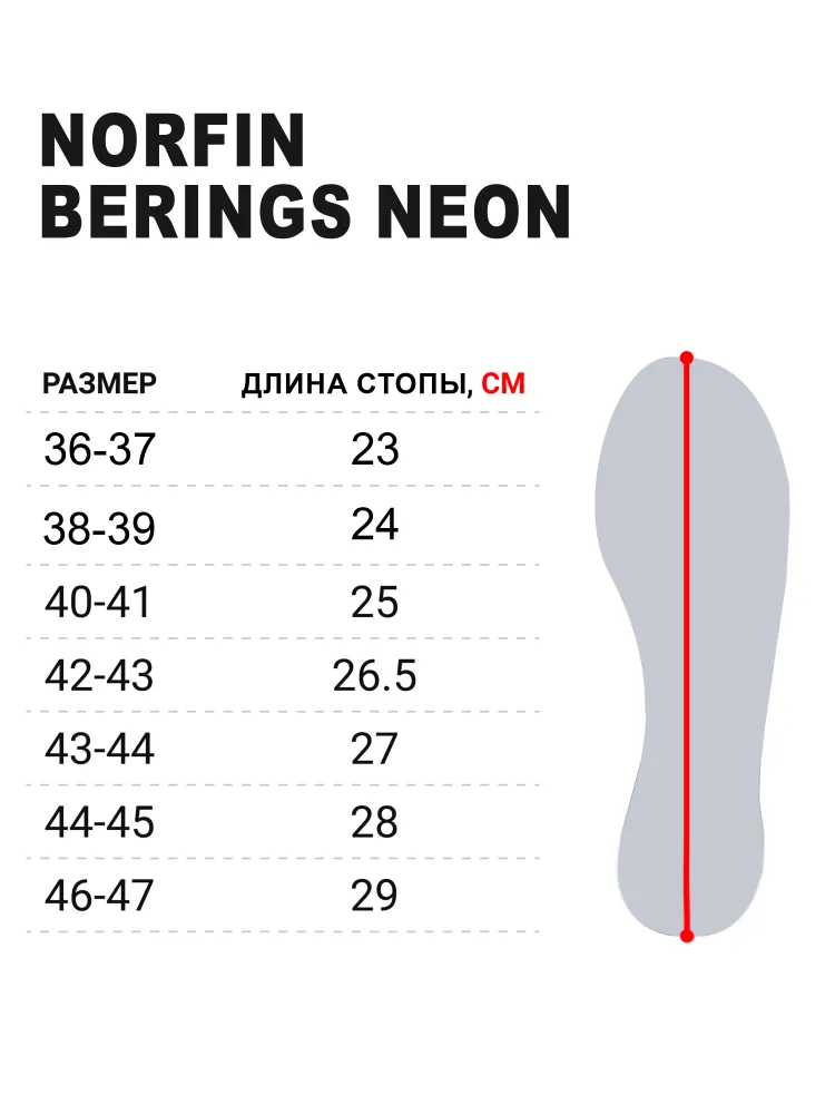 Сапоги зимние Norfin BERINGS с манжетой антрацит -45С EVA, 14862 р 42-43 - фото 2 - id-p218286810