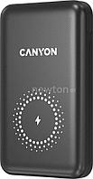 Внешний аккумулятор Canyon PB-1001 10000mAh (черный)