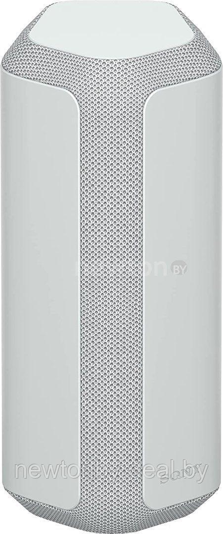 Беспроводная колонка Sony SRS-XE300 (серый) - фото 1 - id-p218515909