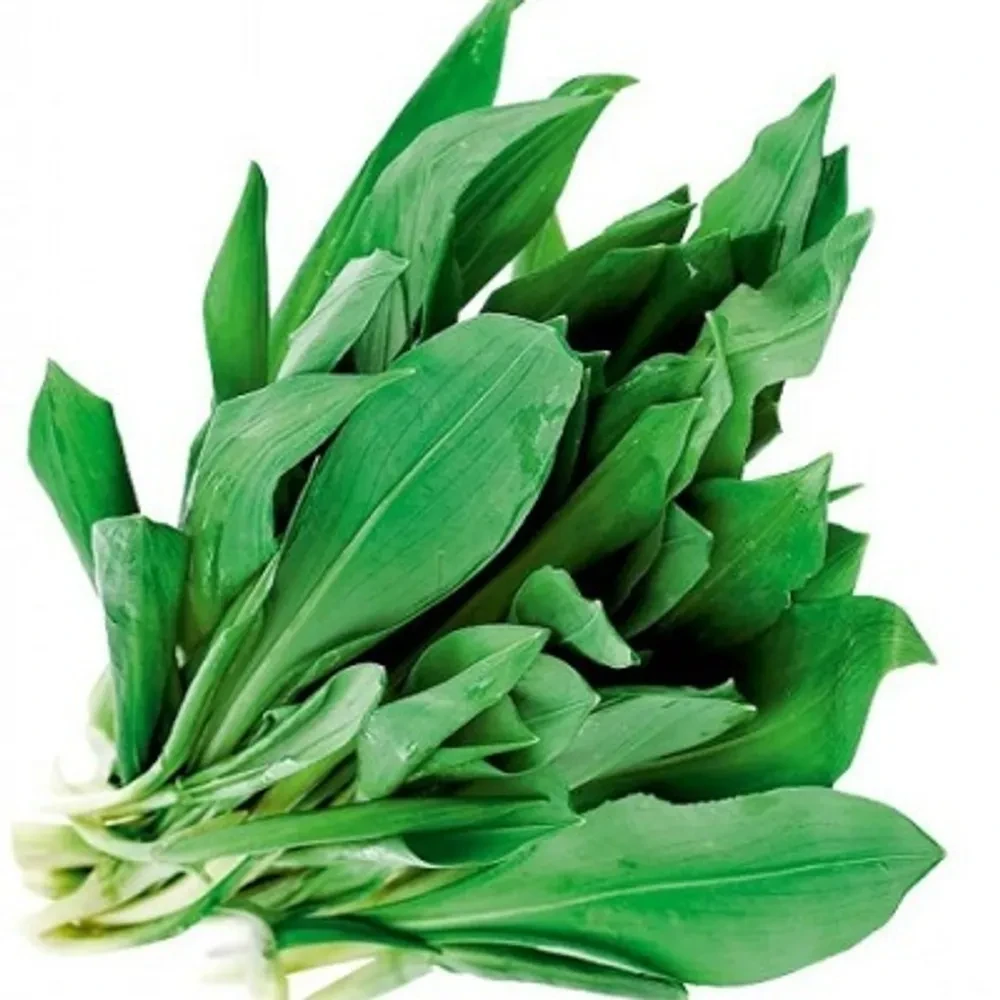 Черемша Свежая Купить В Краснодаре