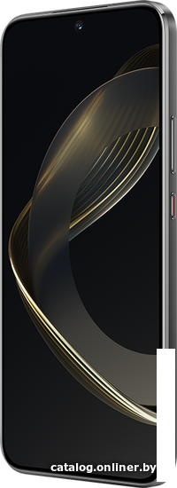 Смартфон Huawei nova 11 FOA-LX9 8GB/256GB (черный) - фото 4 - id-p218397984