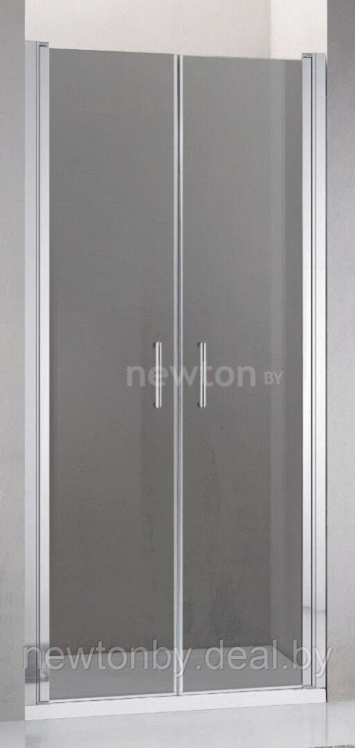 Душевая дверь Adema Nap Duo-90 (тонированное стекло) - фото 1 - id-p201886603