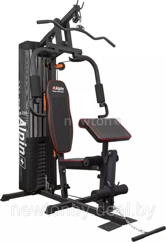 Силовая станция Alpin Pro Gym GX-750 - фото 1 - id-p188460860