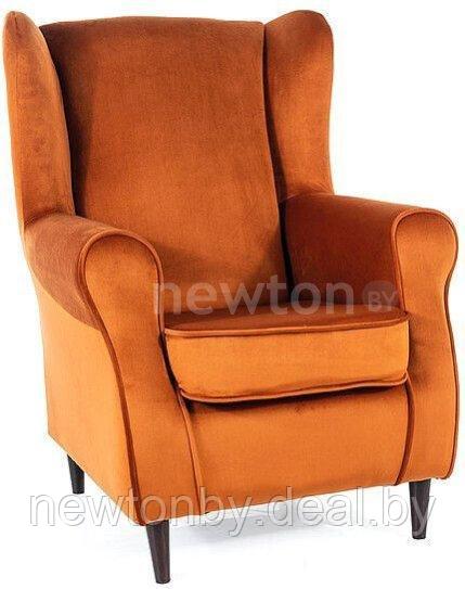 Интерьерное кресло Signal Baron Velvet Bluvel 4215 (корица/венге) - фото 1 - id-p218549408