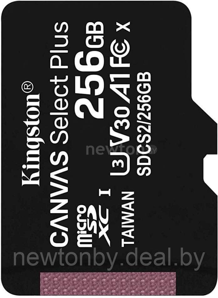 Карта памяти Kingston Canvas Go! Plus microSDXC 256GB - фото 1 - id-p209740771