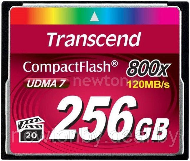 Карта памяти Transcend 800x CompactFlash Premium 256GB (TS256GCF800) - фото 1 - id-p218545994