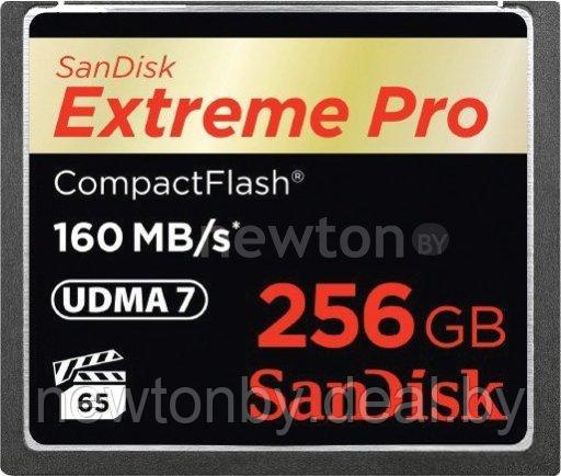 Карта памяти SanDisk Extreme Pro CompactFlash 256GB [SDCFXPS-256G-X46] - фото 1 - id-p218546031
