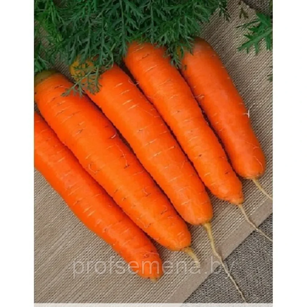Морковь Детская сладкая, семена, 2гр., (аэ)
