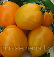 Томат Оранжевое солнце, семена, 0,2 гр., (аэ)