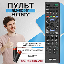 Пульт телевизионный Sony RM-ED061 ic