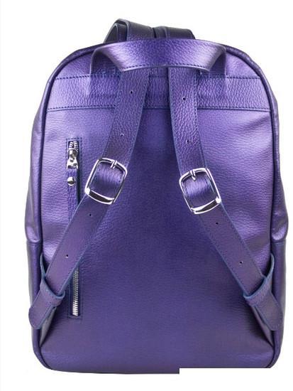 Городской рюкзак Carlo Gattini Premium Albiate 3103-58 (синий/фиолетовый) - фото 3 - id-p218002158