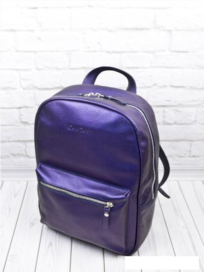 Городской рюкзак Carlo Gattini Premium Albiate 3103-58 (синий/фиолетовый) - фото 5 - id-p218002158