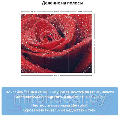 Фотообои листовые Citydecor Красная роза - фото 5 - id-p218590378