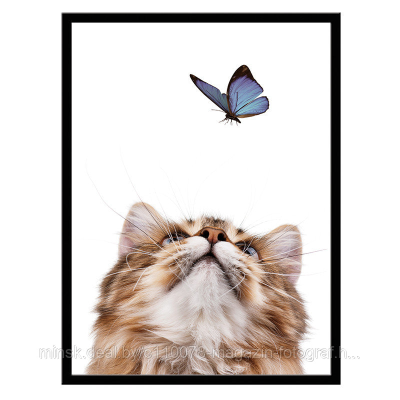 Постер в раме 30х40 Животные (Котенок и бабочка)