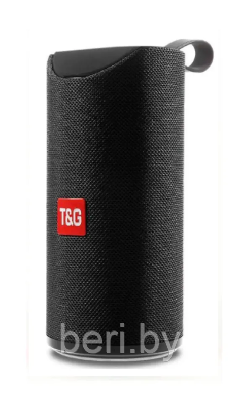 TG-113 Портативная колонка Portable wireless speaker, T&G - фото 2 - id-p218599938