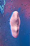 Стимулятор клитора ШЕЛКОВЫЙ ЛЕПЕСТОК, розовый, фото 8