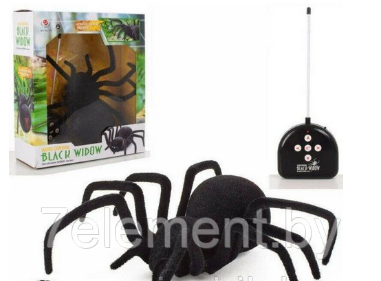 Радиоуправляемая игрушка Черная вдова паук игрушечный детский радиоуправляемый радиоуправлении, пауки игрушки - фото 1 - id-p218602521