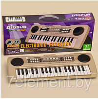 Детский синтезатор пианино 430B2 MP3 USB с микрофоном, детское пианино музыкальный инструмент для детей - фото 1 - id-p218602755