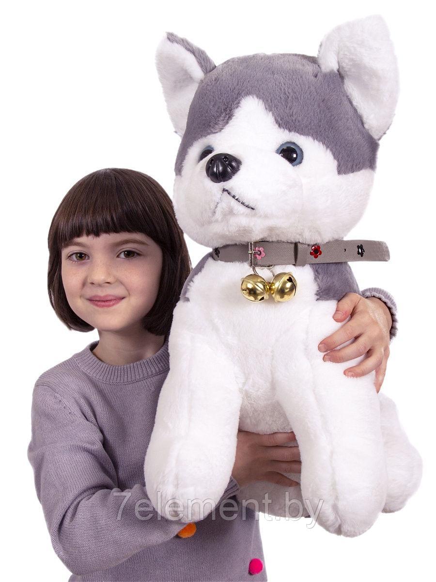 Мягкая плюшевая игрушка Хаски 50 см. Плюшевая собака хаски для детей. Большая игрушка хаски. - фото 3 - id-p218602105