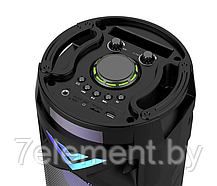 Портативная колонка BT SPEAKER ZQS-6201 Беспроводная акустическая с микрофоном и пультом, с подсветкой и радио, фото 3