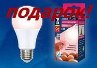 UL-00003189 LED-A60-9W/SCEP/E27/FR/DIM IP65 PLO65WH Лампа светодиодная диммируемая для птиц UNIEL